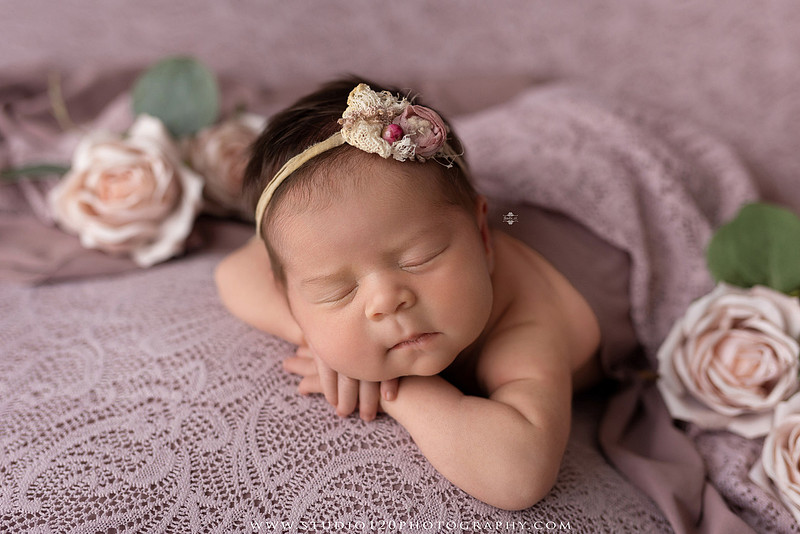 "Ramona newborn photographer", "San Diego newborn photographer", "baby girl newborn photography", "luxury newborn photography", "newborn photography Ramona CA", "princess newborn session", "floral newborn photography", "newborn baby girl portraits", "custom newborn photography", "newborn studio photography", "newborn photographer near me", "baby photographer Ramona", "newborn portraits San Diego", "newborn photo session", "posed newborn photography", "professional newborn photographer", "baby girl photography", "newborn floral setup", "Studio 120 Photography", "newborn photography San Diego County"