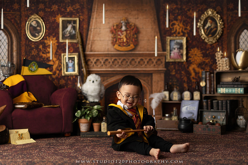 "Harry Potter cake smash", "Gryffindor cake smash", "Harry Potter first birthday", "Gryffindor common room", "wizard themed cake smash", "magical first birthday", "first birthday cake smash", "cake smash photographer", "Ramona cake smash photographer", "San Diego cake smash photographer", "milestone photography", "first birthday portraits", "one year old photos", "custom cake smash theme", "Harry Potter birthday photos", "luxury cake smash photography", "birthday photography", "Ramona photographer", "San Diego photographer", "classic milestone portraits", "studio milestone session", "baby milestone photography", "first birthday photography", "custom photography sets", "Studio 120 Photography"