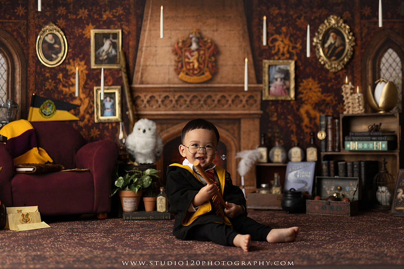 "Harry Potter cake smash", "Gryffindor cake smash", "Harry Potter first birthday", "Gryffindor common room", "wizard themed cake smash", "magical first birthday", "first birthday cake smash", "cake smash photographer", "Ramona cake smash photographer", "San Diego cake smash photographer", "milestone photography", "first birthday portraits", "one year old photos", "custom cake smash theme", "Harry Potter birthday photos", "luxury cake smash photography", "birthday photography", "Ramona photographer", "San Diego photographer", "classic milestone portraits", "studio milestone session", "baby milestone photography", "first birthday photography", "custom photography sets", "Studio 120 Photography"