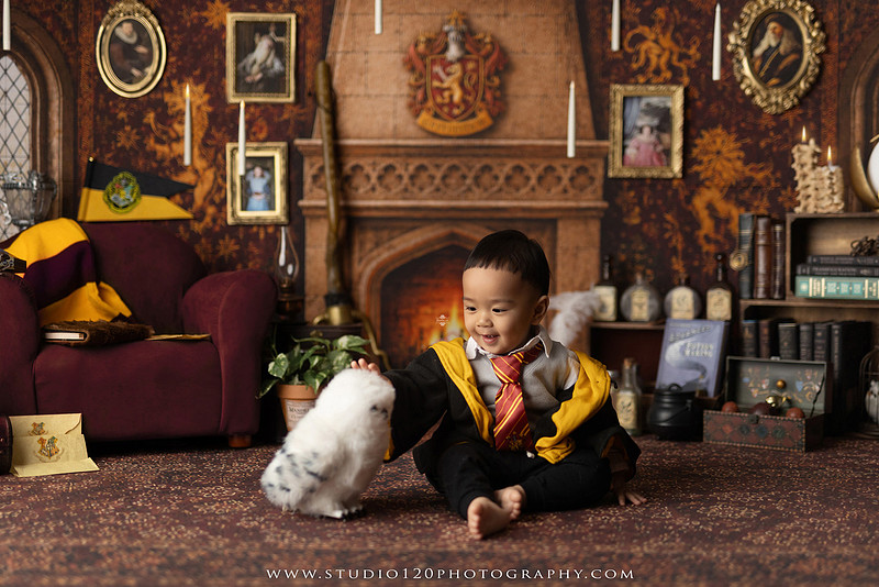 "Harry Potter cake smash", "Gryffindor cake smash", "Harry Potter first birthday", "Gryffindor common room", "wizard themed cake smash", "magical first birthday", "first birthday cake smash", "cake smash photographer", "Ramona cake smash photographer", "San Diego cake smash photographer", "milestone photography", "first birthday portraits", "one year old photos", "custom cake smash theme", "Harry Potter birthday photos", "luxury cake smash photography", "birthday photography", "Ramona photographer", "San Diego photographer", "classic milestone portraits", "studio milestone session", "baby milestone photography", "first birthday photography", "custom photography sets", "Studio 120 Photography"