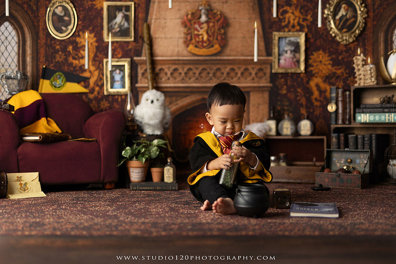 "Harry Potter cake smash", "Gryffindor cake smash", "Harry Potter first birthday", "Gryffindor common room", "wizard themed cake smash", "magical first birthday", "first birthday cake smash", "cake smash photographer", "Ramona cake smash photographer", "San Diego cake smash photographer", "milestone photography", "first birthday portraits", "one year old photos", "custom cake smash theme", "Harry Potter birthday photos", "luxury cake smash photography", "birthday photography", "Ramona photographer", "San Diego photographer", "classic milestone portraits", "studio milestone session", "baby milestone photography", "first birthday photography", "custom photography sets", "Studio 120 Photography"