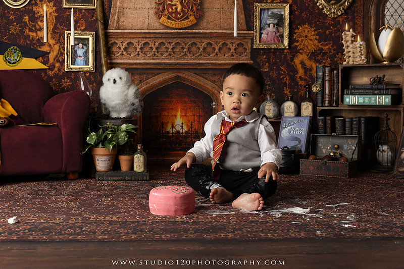 "Harry Potter cake smash", "Gryffindor cake smash", "Harry Potter first birthday", "Gryffindor common room", "wizard themed cake smash", "magical first birthday", "first birthday cake smash", "cake smash photographer", "Ramona cake smash photographer", "San Diego cake smash photographer", "milestone photography", "first birthday portraits", "one year old photos", "custom cake smash theme", "Harry Potter birthday photos", "luxury cake smash photography", "birthday photography", "Ramona photographer", "San Diego photographer", "classic milestone portraits", "studio milestone session", "baby milestone photography", "first birthday photography", "custom photography sets", "Studio 120 Photography"