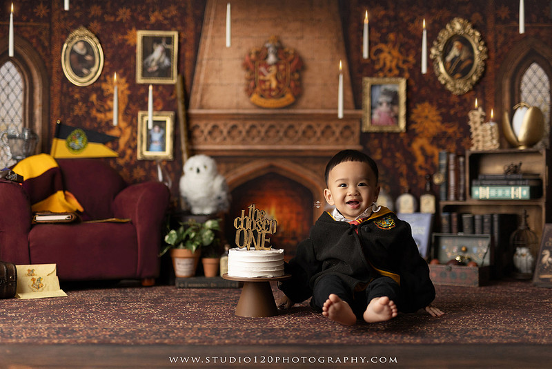 "Harry Potter cake smash", "Gryffindor cake smash", "Harry Potter first birthday", "Gryffindor common room", "wizard themed cake smash", "magical first birthday", "first birthday cake smash", "cake smash photographer", "Ramona cake smash photographer", "San Diego cake smash photographer", "milestone photography", "first birthday portraits", "one year old photos", "custom cake smash theme", "Harry Potter birthday photos", "luxury cake smash photography", "birthday photography", "Ramona photographer", "San Diego photographer", "classic milestone portraits", "studio milestone session", "baby milestone photography", "first birthday photography", "custom photography sets", "Studio 120 Photography"