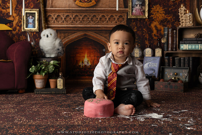 "Harry Potter cake smash", "Gryffindor cake smash", "Harry Potter first birthday", "Gryffindor common room", "wizard themed cake smash", "magical first birthday", "first birthday cake smash", "cake smash photographer", "Ramona cake smash photographer", "San Diego cake smash photographer", "milestone photography", "first birthday portraits", "one year old photos", "custom cake smash theme", "Harry Potter birthday photos", "luxury cake smash photography", "birthday photography", "Ramona photographer", "San Diego photographer", "classic milestone portraits", "studio milestone session", "baby milestone photography", "first birthday photography", "custom photography sets", "Studio 120 Photography"