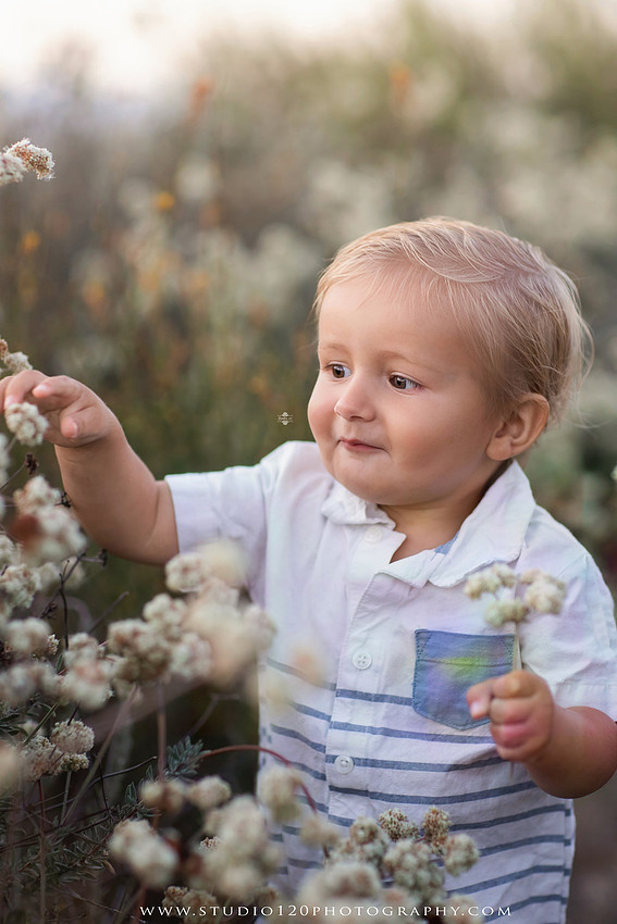 Outdoor maternity photography session in Ramona, CA featuring an expectant mother, father, and young children during golden hour with natural family portraits, pregnancy photos, and scenic Southern California landscapes by Studio 120 Photography.