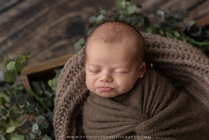 Professional newborn photography session featuring a sleeping baby boy in rustic western-inspired setups with cowboy hats, neutral wraps, wooden props, greenery, and vintage accents, along with heartfelt family portraits with parents and their dogs at Studio 120 Photography in Ramona, California.