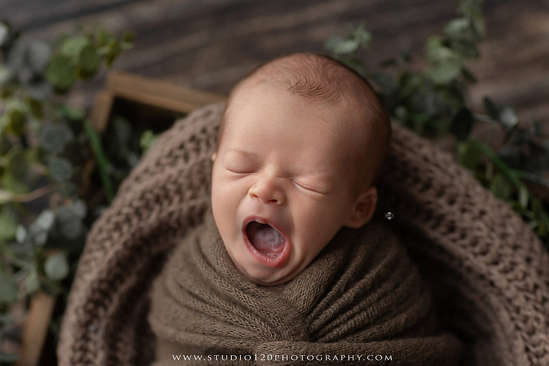Professional newborn photography session featuring a sleeping baby boy in rustic western-inspired setups with cowboy hats, neutral wraps, wooden props, greenery, and vintage accents, along with heartfelt family portraits with parents and their dogs at Studio 120 Photography in Ramona, California.