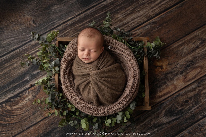Professional newborn photography session featuring a sleeping baby boy in rustic western-inspired setups with cowboy hats, neutral wraps, wooden props, greenery, and vintage accents, along with heartfelt family portraits with parents and their dogs at Studio 120 Photography in Ramona, California.