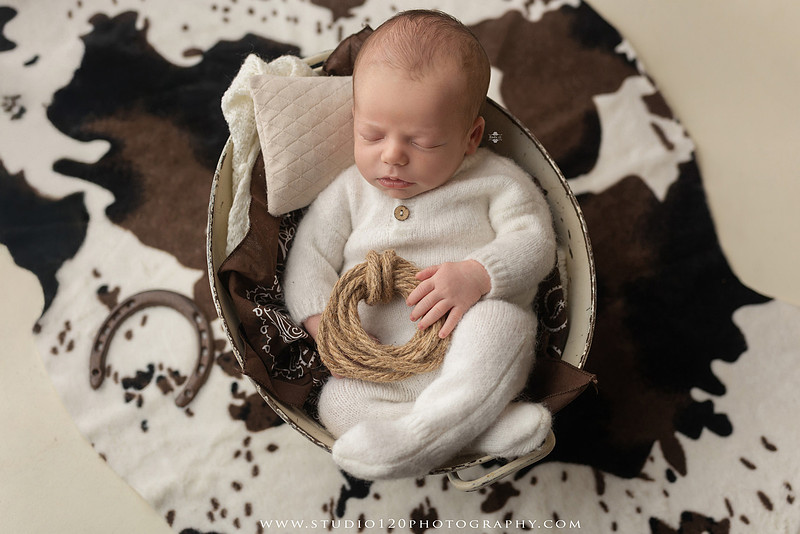 Professional newborn photography session featuring a sleeping baby boy in rustic western-inspired setups with cowboy hats, neutral wraps, wooden props, greenery, and vintage accents, along with heartfelt family portraits with parents and their dogs at Studio 120 Photography in Ramona, California.