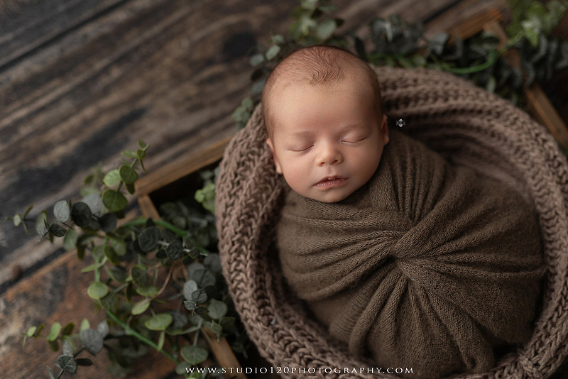 Professional newborn photography session featuring a sleeping baby boy in rustic western-inspired setups with cowboy hats, neutral wraps, wooden props, greenery, and vintage accents, along with heartfelt family portraits with parents and their dogs at Studio 120 Photography in Ramona, California.