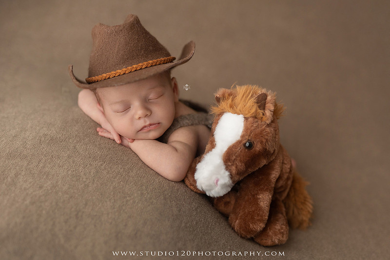Professional newborn photography session featuring a sleeping baby boy in rustic western-inspired setups with cowboy hats, neutral wraps, wooden props, greenery, and vintage accents, along with heartfelt family portraits with parents and their dogs at Studio 120 Photography in Ramona, California.