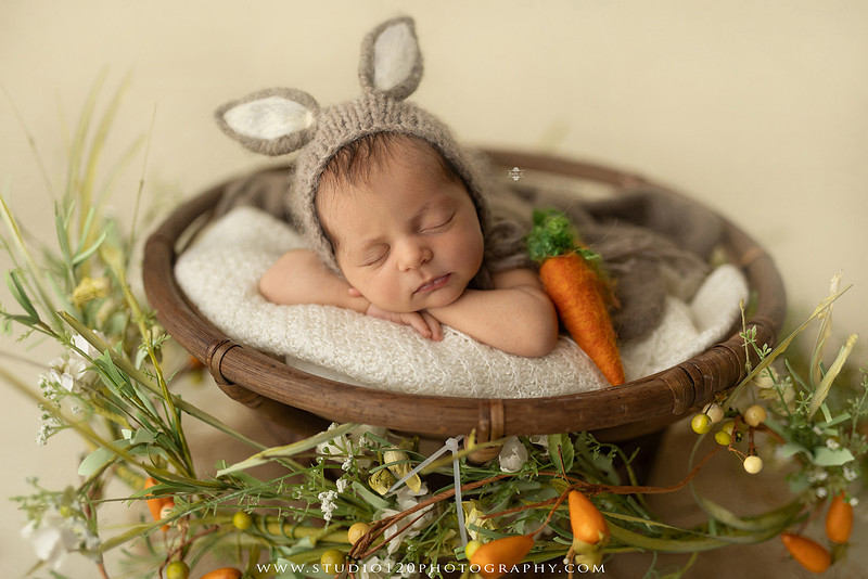 A collection of professional newborn portraits featuring a sleeping baby girl photographed in soft blush pink, ivory, and warm neutral tones. The gallery includes delicate floral headbands, a layered pink tutu, cozy cream wraps, a knitted lamb bonnet in a rustic wooden bucket, and beautiful cherry blossom accents. Images showcase a variety of classic newborn poses on textured blankets, nestled in a floral basket, and wrapped in timeless knit fabrics. Captured at Studio 120 Photography in Ramona, serving San Diego families with fine art newborn photography.