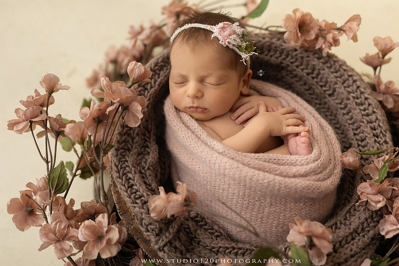 A collection of professional newborn portraits featuring a sleeping baby girl photographed in soft blush pink, ivory, and warm neutral tones. The gallery includes delicate floral headbands, a layered pink tutu, cozy cream wraps, a knitted lamb bonnet in a rustic wooden bucket, and beautiful cherry blossom accents. Images showcase a variety of classic newborn poses on textured blankets, nestled in a floral basket, and wrapped in timeless knit fabrics. Captured at Studio 120 Photography in Ramona, serving San Diego families with fine art newborn photography.
