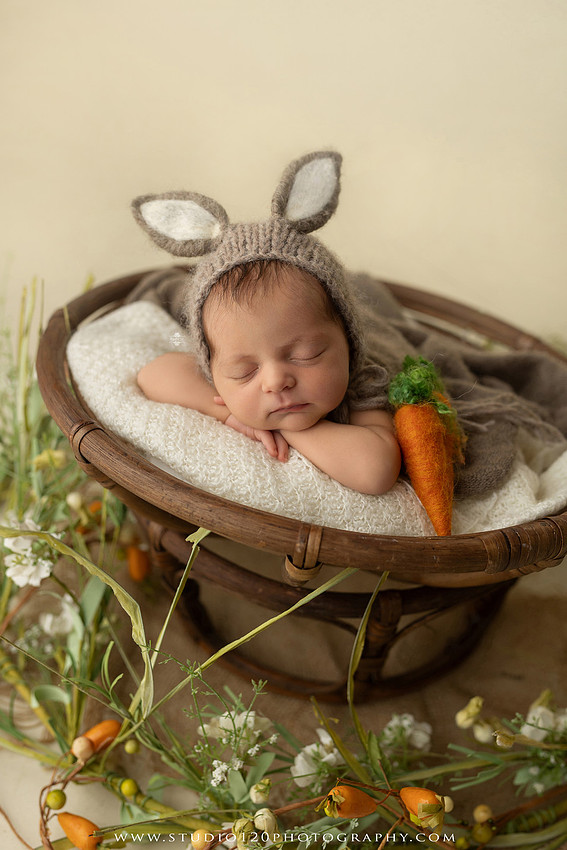 A collection of professional newborn portraits featuring a sleeping baby girl photographed in soft blush pink, ivory, and warm neutral tones. The gallery includes delicate floral headbands, a layered pink tutu, cozy cream wraps, a knitted lamb bonnet in a rustic wooden bucket, and beautiful cherry blossom accents. Images showcase a variety of classic newborn poses on textured blankets, nestled in a floral basket, and wrapped in timeless knit fabrics. Captured at Studio 120 Photography in Ramona, serving San Diego families with fine art newborn photography.