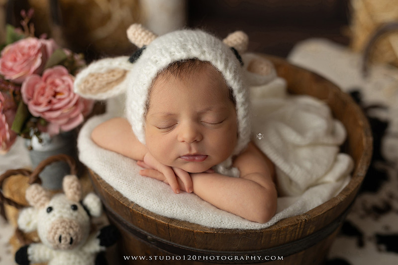 A collection of professional newborn portraits featuring a sleeping baby girl photographed in soft blush pink, ivory, and warm neutral tones. The gallery includes delicate floral headbands, a layered pink tutu, cozy cream wraps, a knitted lamb bonnet in a rustic wooden bucket, and beautiful cherry blossom accents. Images showcase a variety of classic newborn poses on textured blankets, nestled in a floral basket, and wrapped in timeless knit fabrics. Captured at Studio 120 Photography in Ramona, serving San Diego families with fine art newborn photography.