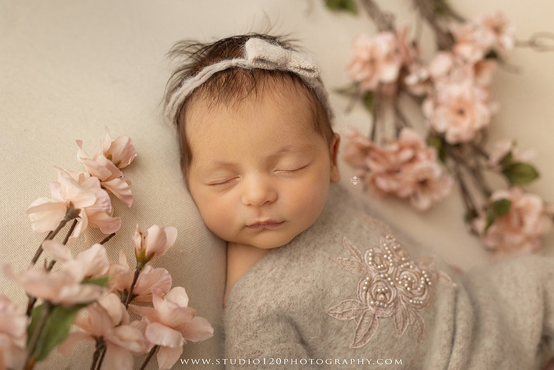 A collection of professional newborn portraits featuring a sleeping baby girl photographed in soft blush pink, ivory, and warm neutral tones. The gallery includes delicate floral headbands, a layered pink tutu, cozy cream wraps, a knitted lamb bonnet in a rustic wooden bucket, and beautiful cherry blossom accents. Images showcase a variety of classic newborn poses on textured blankets, nestled in a floral basket, and wrapped in timeless knit fabrics. Captured at Studio 120 Photography in Ramona, serving San Diego families with fine art newborn photography.