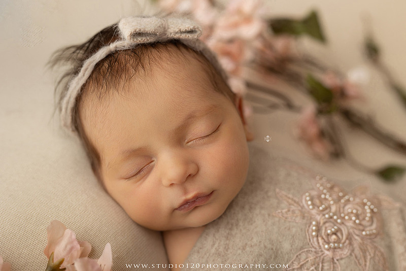 A collection of professional newborn portraits featuring a sleeping baby girl photographed in soft blush pink, ivory, and warm neutral tones. The gallery includes delicate floral headbands, a layered pink tutu, cozy cream wraps, a knitted lamb bonnet in a rustic wooden bucket, and beautiful cherry blossom accents. Images showcase a variety of classic newborn poses on textured blankets, nestled in a floral basket, and wrapped in timeless knit fabrics. Captured at Studio 120 Photography in Ramona, serving San Diego families with fine art newborn photography.