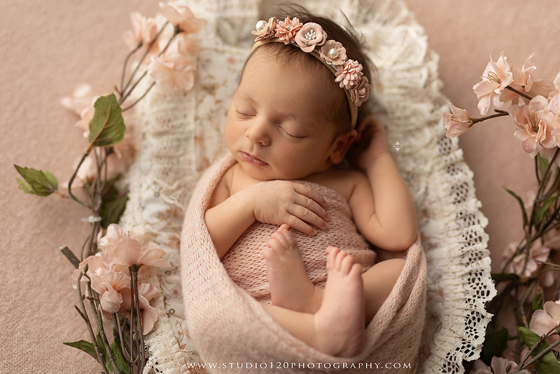 A collection of professional newborn portraits featuring a sleeping baby girl photographed in soft blush pink, ivory, and warm neutral tones. The gallery includes delicate floral headbands, a layered pink tutu, cozy cream wraps, a knitted lamb bonnet in a rustic wooden bucket, and beautiful cherry blossom accents. Images showcase a variety of classic newborn poses on textured blankets, nestled in a floral basket, and wrapped in timeless knit fabrics. Captured at Studio 120 Photography in Ramona, serving San Diego families with fine art newborn photography.