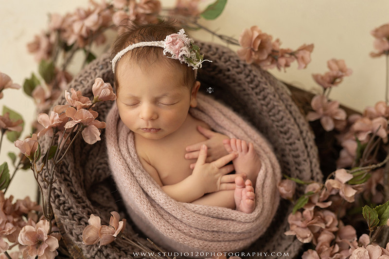 A collection of professional newborn portraits featuring a sleeping baby girl photographed in soft blush pink, ivory, and warm neutral tones. The gallery includes delicate floral headbands, a layered pink tutu, cozy cream wraps, a knitted lamb bonnet in a rustic wooden bucket, and beautiful cherry blossom accents. Images showcase a variety of classic newborn poses on textured blankets, nestled in a floral basket, and wrapped in timeless knit fabrics. Captured at Studio 120 Photography in Ramona, serving San Diego families with fine art newborn photography.