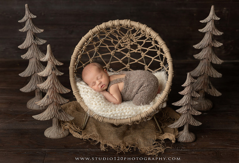 A collection of timeless newborn portraits featuring a sleeping baby boy photographed in Studio 120 Photography's Ramona studio. The gallery includes organic, neutral styling with soft cream wraps, textured knit blankets, rustic wooden bowls, vintage wash tubs, woven baskets, a modern macramé hammock, and a miniature woodland chair surrounded by handcrafted pine trees. Rich wood tones, eucalyptus greenery, dried botanicals, and warm natural textures create an elegant, earthy aesthetic. The collection also features simple beanbag portraits highlighting the baby's tiny features, peaceful sleeping poses, sweet smiles, and bright awake expressions. These fine art newborn photographs capture the beauty of a baby's earliest days with classic, heirloom-quality styling for families throughout Ramona, San Diego, Poway, Escondido, Lakeside, El Cajon, and surrounding Southern California communities.