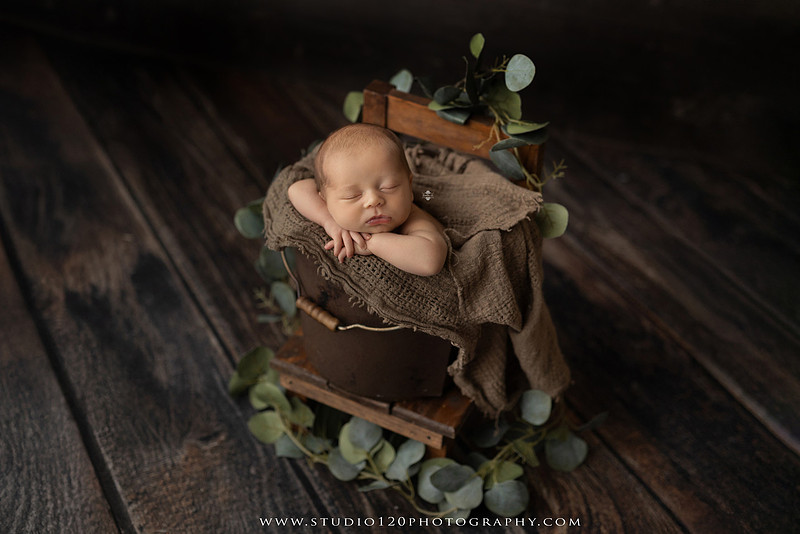 A collection of timeless newborn portraits featuring a sleeping baby boy photographed in Studio 120 Photography's Ramona studio. The gallery includes organic, neutral styling with soft cream wraps, textured knit blankets, rustic wooden bowls, vintage wash tubs, woven baskets, a modern macramé hammock, and a miniature woodland chair surrounded by handcrafted pine trees. Rich wood tones, eucalyptus greenery, dried botanicals, and warm natural textures create an elegant, earthy aesthetic. The collection also features simple beanbag portraits highlighting the baby's tiny features, peaceful sleeping poses, sweet smiles, and bright awake expressions. These fine art newborn photographs capture the beauty of a baby's earliest days with classic, heirloom-quality styling for families throughout Ramona, San Diego, Poway, Escondido, Lakeside, El Cajon, and surrounding Southern California communities.