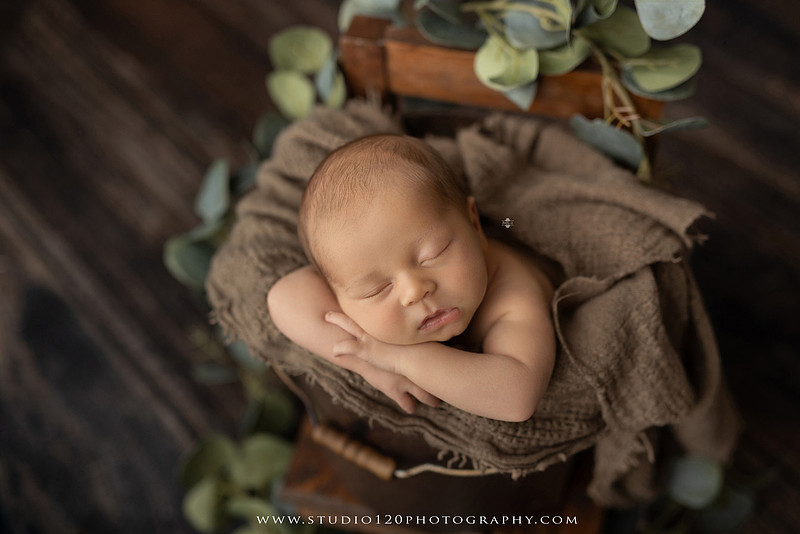 A collection of timeless newborn portraits featuring a sleeping baby boy photographed in Studio 120 Photography's Ramona studio. The gallery includes organic, neutral styling with soft cream wraps, textured knit blankets, rustic wooden bowls, vintage wash tubs, woven baskets, a modern macramé hammock, and a miniature woodland chair surrounded by handcrafted pine trees. Rich wood tones, eucalyptus greenery, dried botanicals, and warm natural textures create an elegant, earthy aesthetic. The collection also features simple beanbag portraits highlighting the baby's tiny features, peaceful sleeping poses, sweet smiles, and bright awake expressions. These fine art newborn photographs capture the beauty of a baby's earliest days with classic, heirloom-quality styling for families throughout Ramona, San Diego, Poway, Escondido, Lakeside, El Cajon, and surrounding Southern California communities.