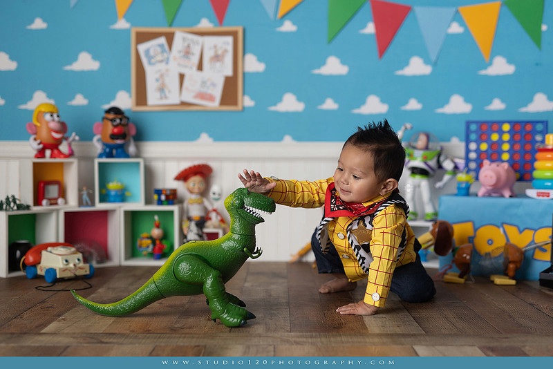One-year-old boy dressed as Woody from Toy Story during a colorful milestone photography session, playing with classic toys including Rex the dinosaur, a cowboy hat, and ring toss games on a custom Toy Story inspired first birthday set at Studio 120 Photography in Ramona, serving San Diego and surrounding areas.