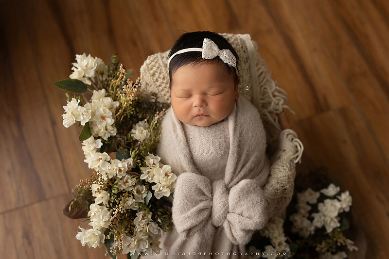 A collection of newborn baby girl portraits featuring peaceful sleeping poses, soft neutral wraps, delicate floral headbands, textured blankets, rustic baskets, natural wood props, creamy backdrops, and a special police tribute setup with a badge and Thin Blue Line flag. The gallery showcases timeless, baby-led newborn photography with warm, organic tones at Studio 120 Photography in Ramona, serving San Diego County.