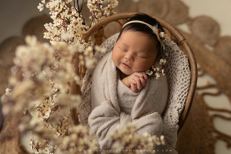 A collection of newborn baby girl portraits featuring peaceful sleeping poses, soft neutral wraps, delicate floral headbands, textured blankets, rustic baskets, natural wood props, creamy backdrops, and a special police tribute setup with a badge and Thin Blue Line flag. The gallery showcases timeless, baby-led newborn photography with warm, organic tones at Studio 120 Photography in Ramona, serving San Diego County.
