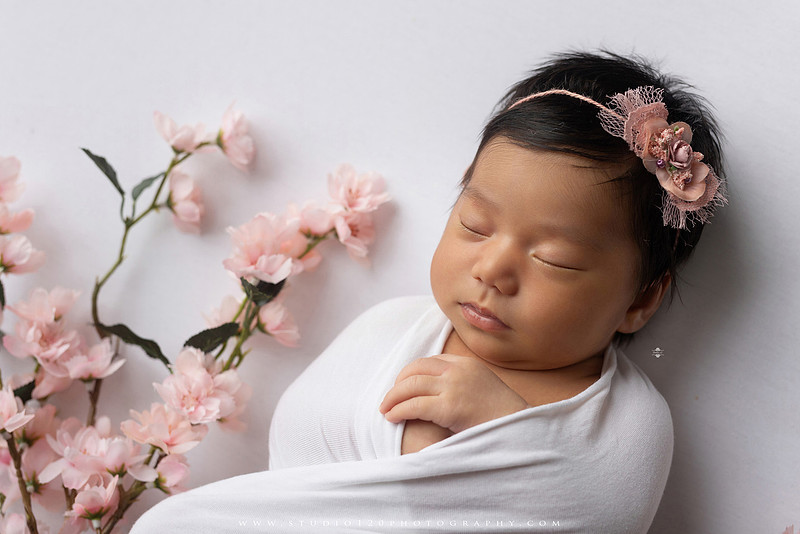 Newborn photography session at Studio 120 Photography in Ramona, California, featuring a baby girl in soft pink, cream, floral and neutral setups, custom portraits with her mother’s Labubu doll collection, sibling photos with her three big brothers, family portraits with Mom and Dad, and timeless baby-only images.