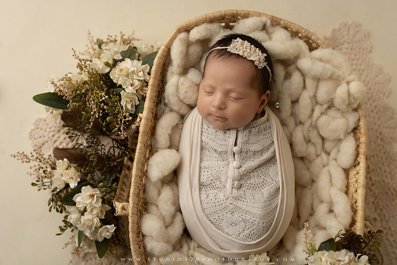 Newborn baby girl photography session featuring soft pink, lavender, blue and neutral styling, floral newborn portraits, rustic western-inspired setups, sibling photos with two big brothers, and family portraits with parents at Studio 120 Photography in Ramona, California.
