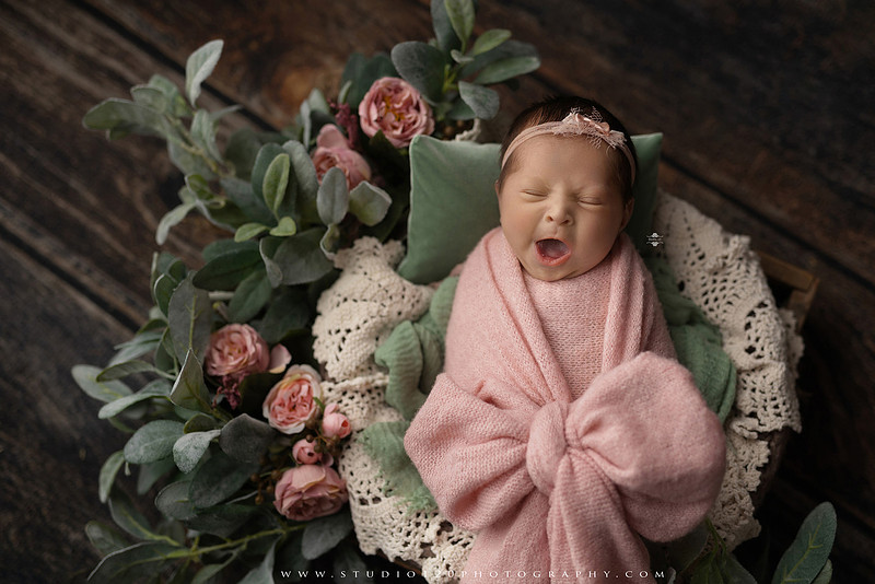 Newborn baby girl photography session featuring soft pink, lavender, blue and neutral styling, floral newborn portraits, rustic western-inspired setups, sibling photos with two big brothers, and family portraits with parents at Studio 120 Photography in Ramona, California.