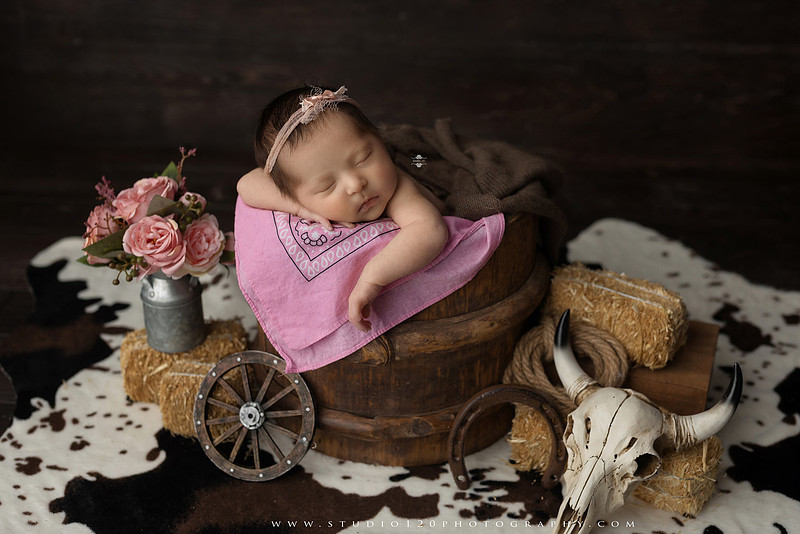 Newborn baby girl photography session featuring soft pink, lavender, blue and neutral styling, floral newborn portraits, rustic western-inspired setups, sibling photos with two big brothers, and family portraits with parents at Studio 120 Photography in Ramona, California.