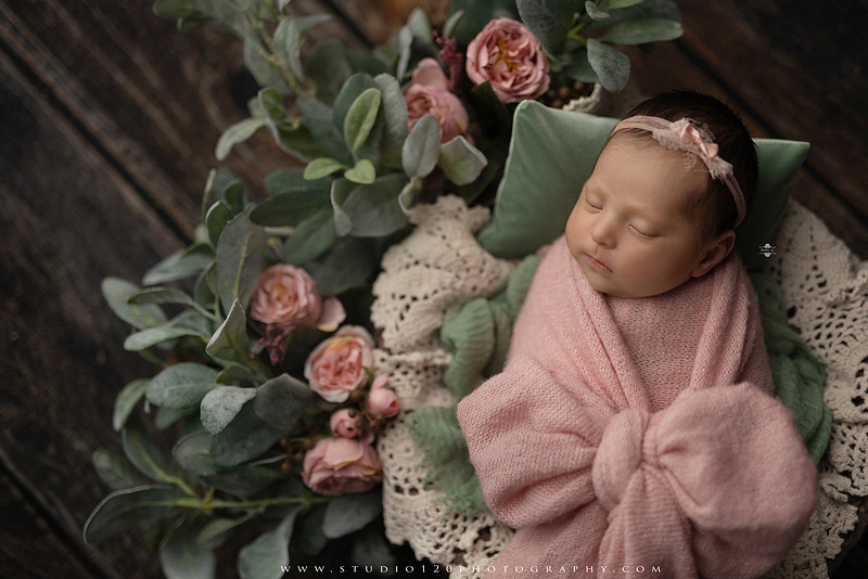 Newborn baby girl photography session featuring soft pink, lavender, blue and neutral styling, floral newborn portraits, rustic western-inspired setups, sibling photos with two big brothers, and family portraits with parents at Studio 120 Photography in Ramona, California.