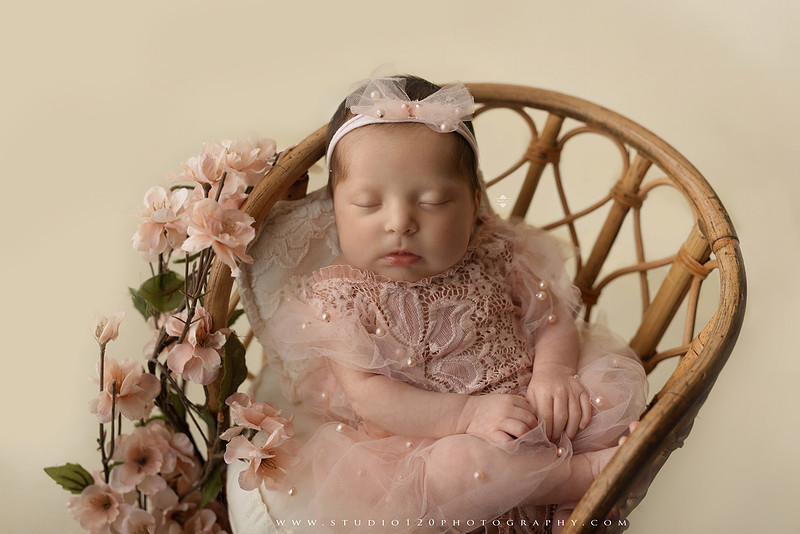 Newborn baby girl photography session featuring soft pink, lavender, blue and neutral styling, floral newborn portraits, rustic western-inspired setups, sibling photos with two big brothers, and family portraits with parents at Studio 120 Photography in Ramona, California.