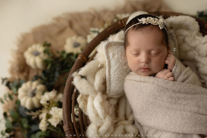 Newborn baby girl photography session featuring soft pink, lavender, blue and neutral styling, floral newborn portraits, rustic western-inspired setups, sibling photos with two big brothers, and family portraits with parents at Studio 120 Photography in Ramona, California.