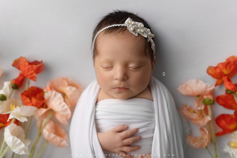 Newborn baby girl photography session featuring soft pink, lavender, blue and neutral styling, floral newborn portraits, rustic western-inspired setups, sibling photos with two big brothers, and family portraits with parents at Studio 120 Photography in Ramona, California.