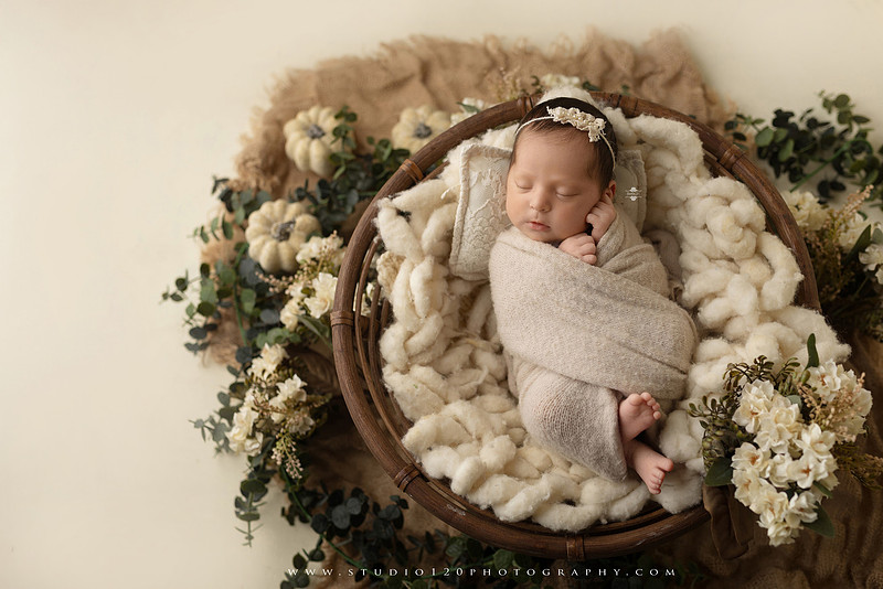 Newborn baby girl photography session featuring soft pink, lavender, blue and neutral styling, floral newborn portraits, rustic western-inspired setups, sibling photos with two big brothers, and family portraits with parents at Studio 120 Photography in Ramona, California.