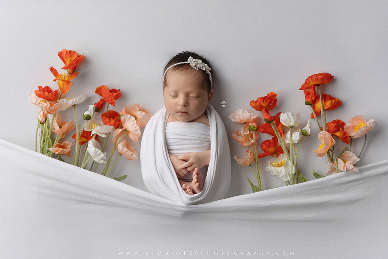 Newborn baby girl photography session featuring soft pink, lavender, blue and neutral styling, floral newborn portraits, rustic western-inspired setups, sibling photos with two big brothers, and family portraits with parents at Studio 120 Photography in Ramona, California.
