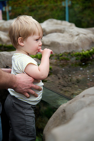 Levi 14 Month 035