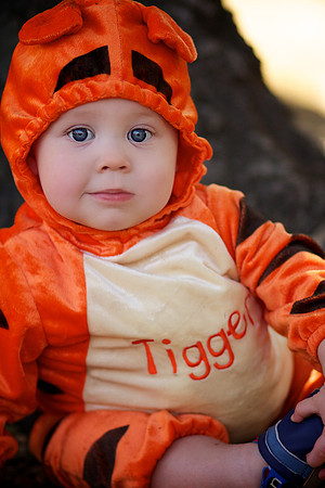 Levi 8 Month Halloween 008