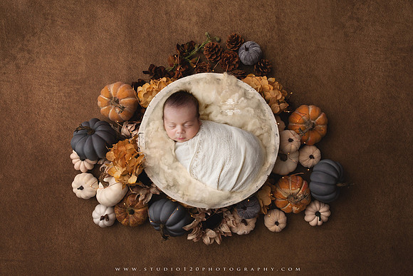 HarvestDelightmattemagic copy 2