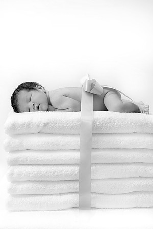 Fernando_MG_0216 - Version 2
