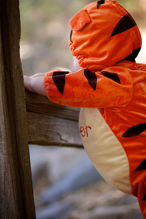 Levi 8 Month Halloween 003