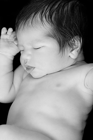 Fernando_MG_0193b