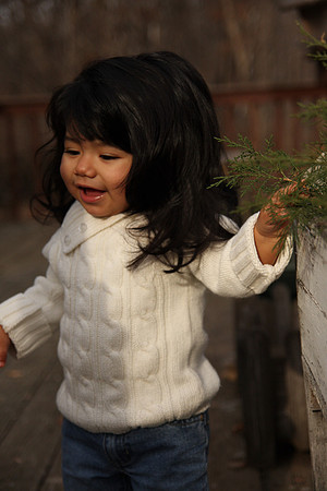 219.JPG
