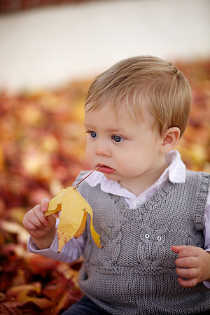 Levi 9 Month 024