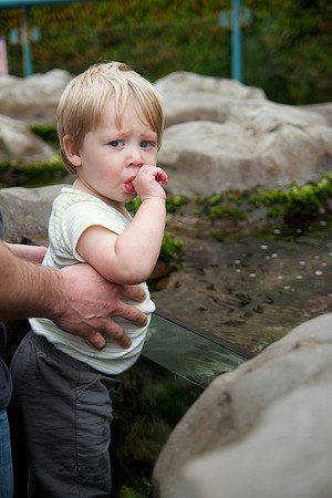 Levi 14 Month 036