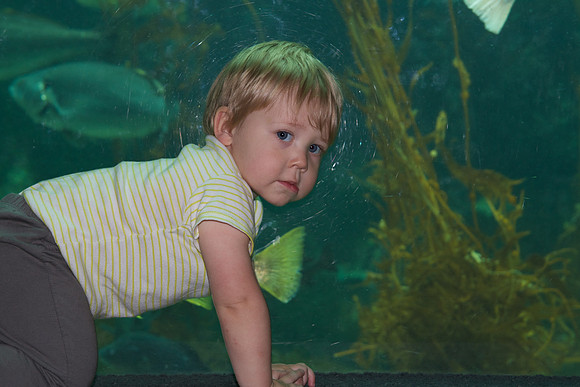 Levi 14 Month 026
